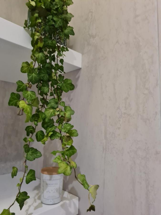 Apartment Rosemarine